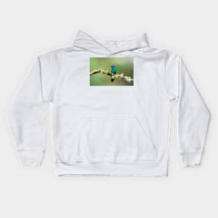 Green Violetear Hummingbird - Costa Rica Kids Hoodie